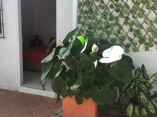 Foto 14 de casa en venta en crespo. Cod V48