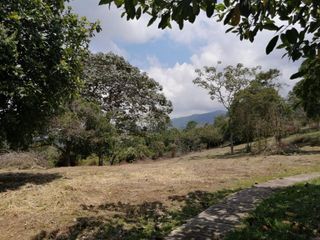 Foto 7 de lote en venta en pance. Cod V9406