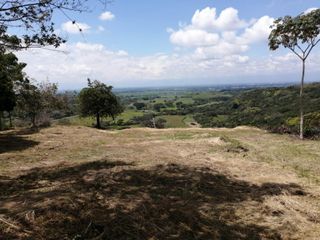 Foto 2 de lote en venta en pance. Cod V9406
