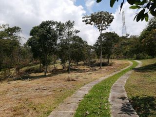 Foto 8 de lote en venta en pance. Cod V9406