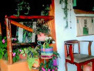 Foto 7 de VENTA de CASAS en ZAPATOCA