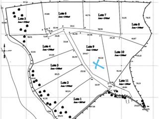 Foto 2 de LOTE EN VENTA SOPETRN