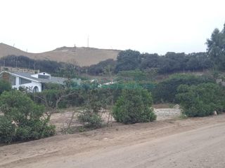 Terrenos Residenciales Venta Fundo San Fernando - PACHACAMAC