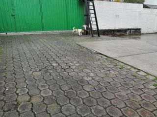 Foto 9 de ARRIENDO BODEGA INDUSTRIAL ALTO IMPACTO, NORTE DE QUITO.