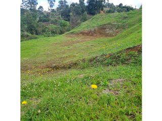 Foto 1 de VENTA DE LOTE, EN MARINILLA ANTIOQUIA