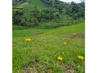 Foto 2 de VENTA DE LOTE, EN MARINILLA ANTIOQUIA
