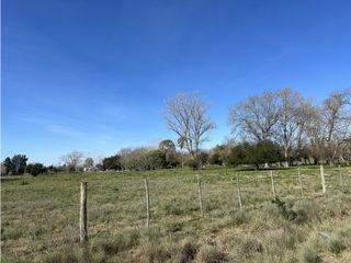 Foto 6 de Lotes de terreno en Jeppener (Brandsen) 3 lotes de 4.000 m2 cada uno