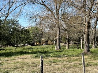 Foto 2 de Lotes de terreno en Jeppener (Brandsen) 3 lotes de 4.000 m2 cada uno