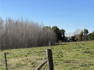Foto 4 de Lotes de terreno en Jeppener (Brandsen) 3 lotes de 4.000 m2 cada uno