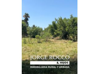 Foto 5 de Lotes de terreno en Jeppener (Brandsen) 3 lotes de 4.000 m2 cada uno