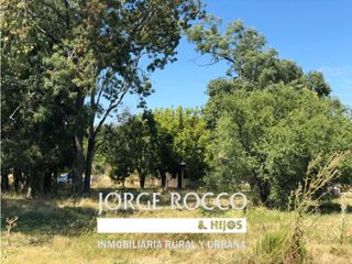 Foto 7 de Lotes de terreno en Jeppener (Brandsen) 3 lotes de 4.000 m2 cada uno