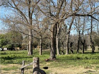 Foto 1 de Lotes de terreno en Jeppener (Brandsen) 3 lotes de 4.000 m2 cada uno