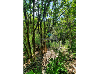 Foto 9 de VENTA-LOTE 1680M2 EN VILLA ANIMI-ALAMBRADO