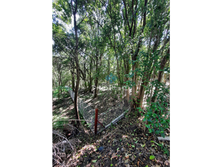 Foto 5 de VENTA-LOTE 1680M2 EN VILLA ANIMI-ALAMBRADO