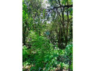 Foto 4 de VENTA-LOTE 1680M2 EN VILLA ANIMI-ALAMBRADO
