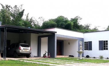 similar_image