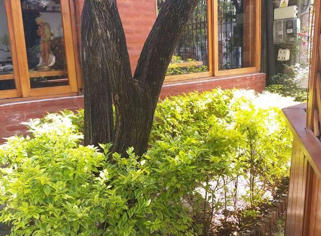 place photo 15