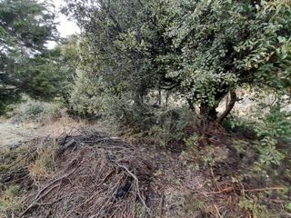 Increíble Terreno en  Venta , Reina MORA, Bariloche zona sur.