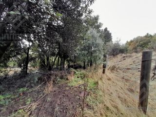 Increíble Terreno en  Venta , Reina MORA, Bariloche zona sur.