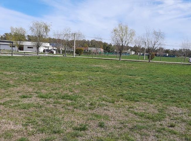 place photo 23