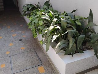 Foto 17 de Departamento - Barrio Sur