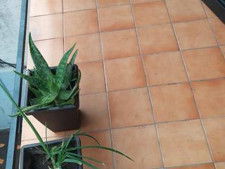 Foto 8 de Departamento - Barrio Sur