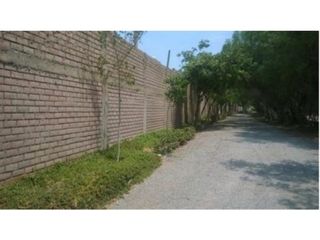Foto 4 de LOCAL COMERCIAL en ALQUILER en PUENTE PIEDRA