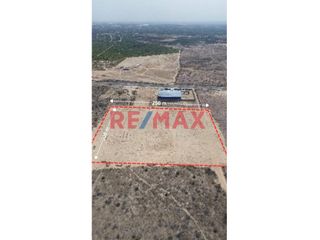 Foto 3 de ¡GRAN OPORTUNIDAD DE INVERSIÓN! ☀️

SE vende terreno amplio de 5 hectáreas (250 m de frente x 200 de fondo), ubicado a solo 200 metros de la Av pana