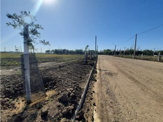 Foto 1 de VENTA – LOTES EN BARRIO LOS CEIBOS, JESÚS MARA
