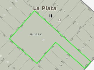 Lote con centro de manzana
