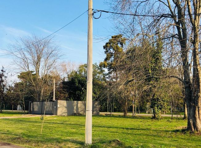 place photo 15