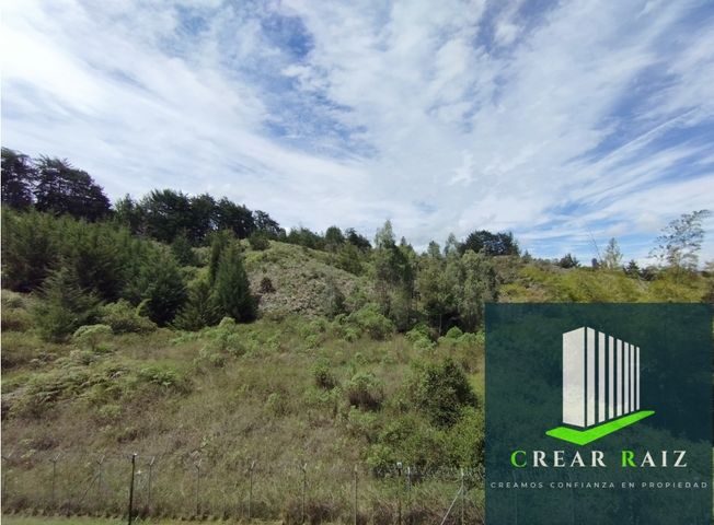 Apartment for rent in Rionegro