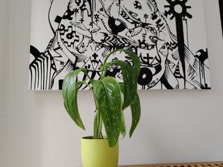 Foto 17 de casa condominio en venta en vereda san juan. Cod V1093023