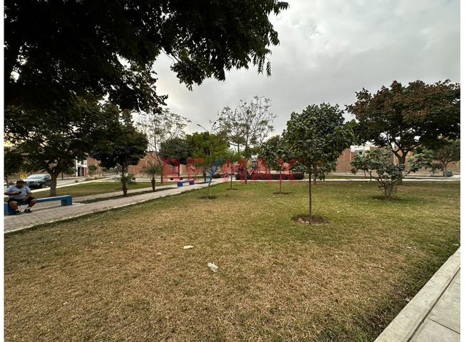 Terreno en Venta en Carabayllo - Vista 6