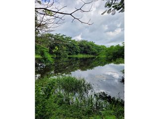 FINCA PARA VENTA DE 27 HECTAREAS EN CLEMENCIA, BOLVAR