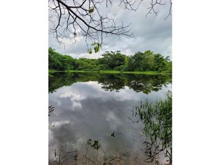 FINCA PARA VENTA DE 27 HECTAREAS EN CLEMENCIA, BOLVAR