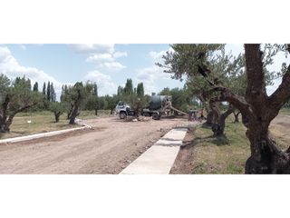 Foto 9 de LOTES EN MONTEOLIVO BARRIO PRIVADO Lujan de Cuyo Mendoza