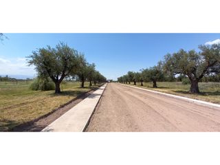 Foto 5 de LOTES EN MONTEOLIVO BARRIO PRIVADO Lujan de Cuyo Mendoza