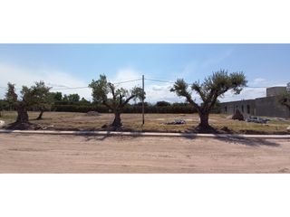 Foto 7 de LOTES EN MONTEOLIVO BARRIO PRIVADO Lujan de Cuyo Mendoza
