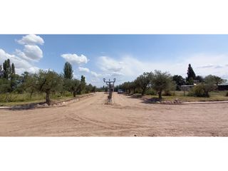 Foto 4 de LOTES EN MONTEOLIVO BARRIO PRIVADO Lujan de Cuyo Mendoza