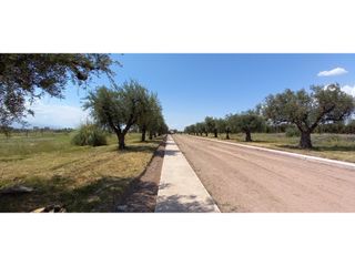 Foto 10 de LOTES EN MONTEOLIVO BARRIO PRIVADO Lujan de Cuyo Mendoza