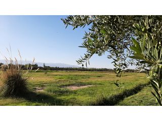 Foto 17 de LOTES EN MONTEOLIVO BARRIO PRIVADO Lujan de Cuyo Mendoza