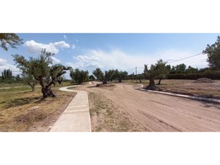Foto 6 de LOTES EN MONTEOLIVO BARRIO PRIVADO Lujan de Cuyo Mendoza
