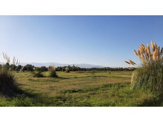 Foto 15 de LOTES EN MONTEOLIVO BARRIO PRIVADO Lujan de Cuyo Mendoza