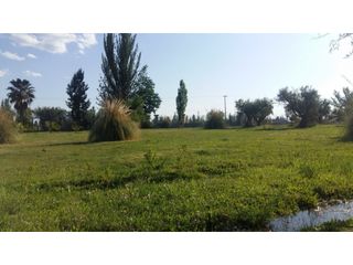 Foto 14 de LOTES EN MONTEOLIVO BARRIO PRIVADO Lujan de Cuyo Mendoza