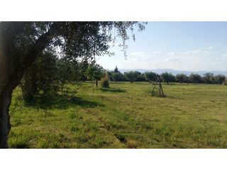 Foto 13 de LOTES EN MONTEOLIVO BARRIO PRIVADO Lujan de Cuyo Mendoza