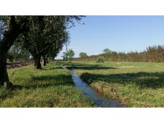 Foto 16 de LOTES EN MONTEOLIVO BARRIO PRIVADO Lujan de Cuyo Mendoza