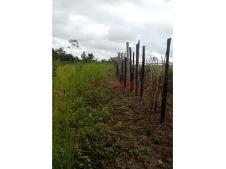Foto 7 de Area: 33 Hectáreas mas 9,450 m2

Este terreno esta ubicado a la altura del Km14.200 C.Federico Basadre, a media km de la Cerveceria San Juan de Puca