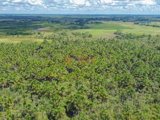 Foto 4 de Area: 33 Hectáreas mas 9,450 m2

Este terreno esta ubicado a la altura del Km14.200 C.Federico Basadre, a media km de la Cerveceria San Juan de Puca