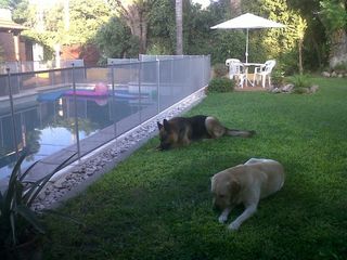 Foto 1 de VENDO IMPERDIBLE CASA CON PILETA EN BÂ° SAN LORENZO